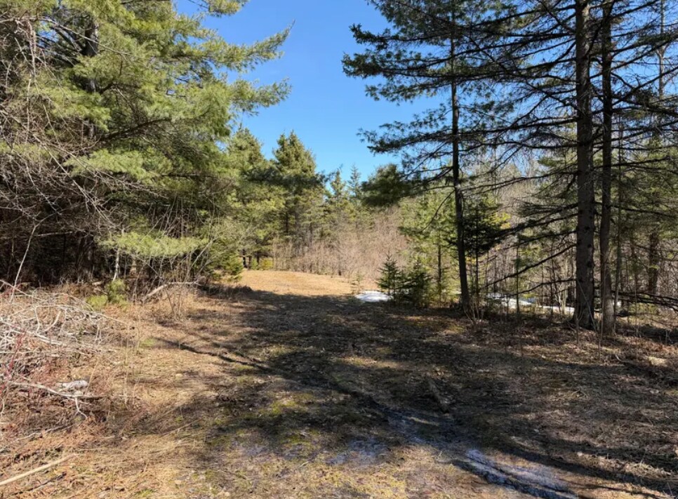 M32 W Rd, Alpena, MI for Sale