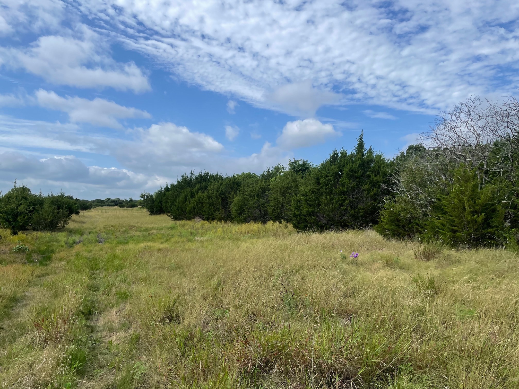 TBD CR 206, Lampasas, TX for Sale