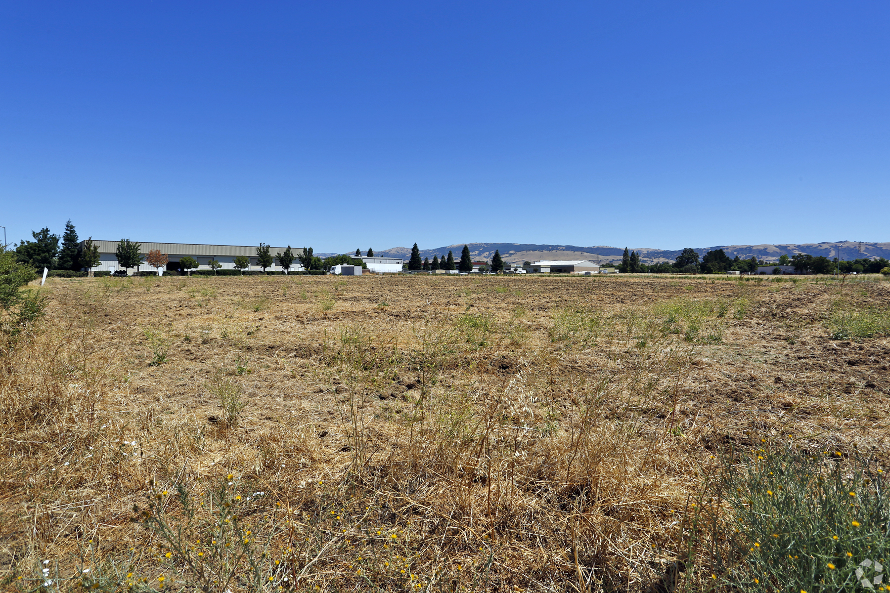 8815 Forest St, Gilroy, CA for Sale