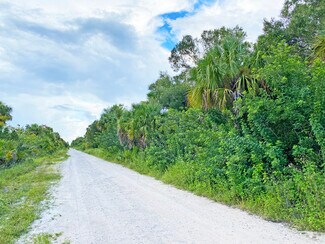 Naples, FL Residential Land - 0 42nd Ave