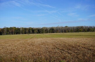 Wadmalaw Island, SC Agricultural - 2066 Rackity Hall Rd