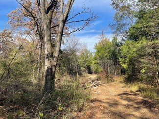 Van, TX Agricultural - 1155 VZ County 1415 rd