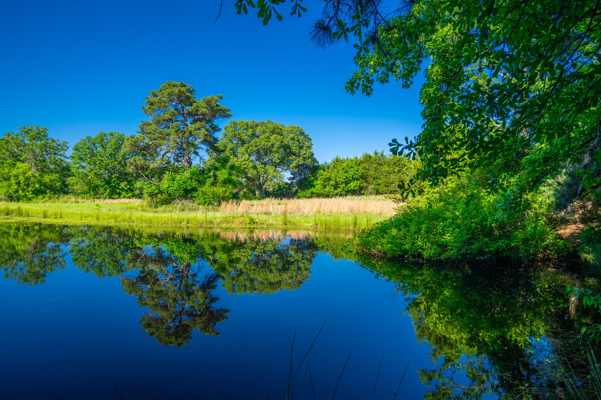 County Road 2592, Marietta, TX for Sale