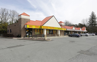 Nesconset, NY Retail - 279 Smithtown Blvd