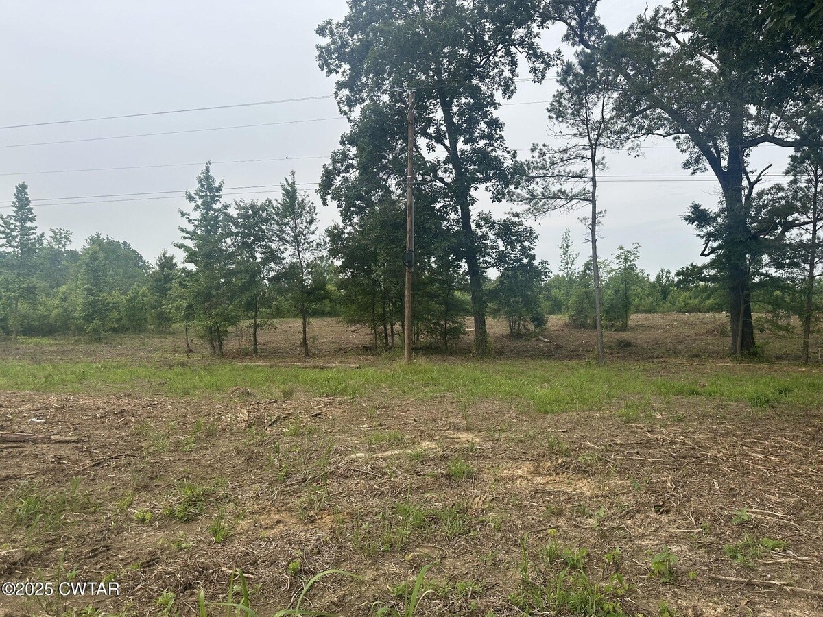 0 State Route 22a, Enville, TN for Sale