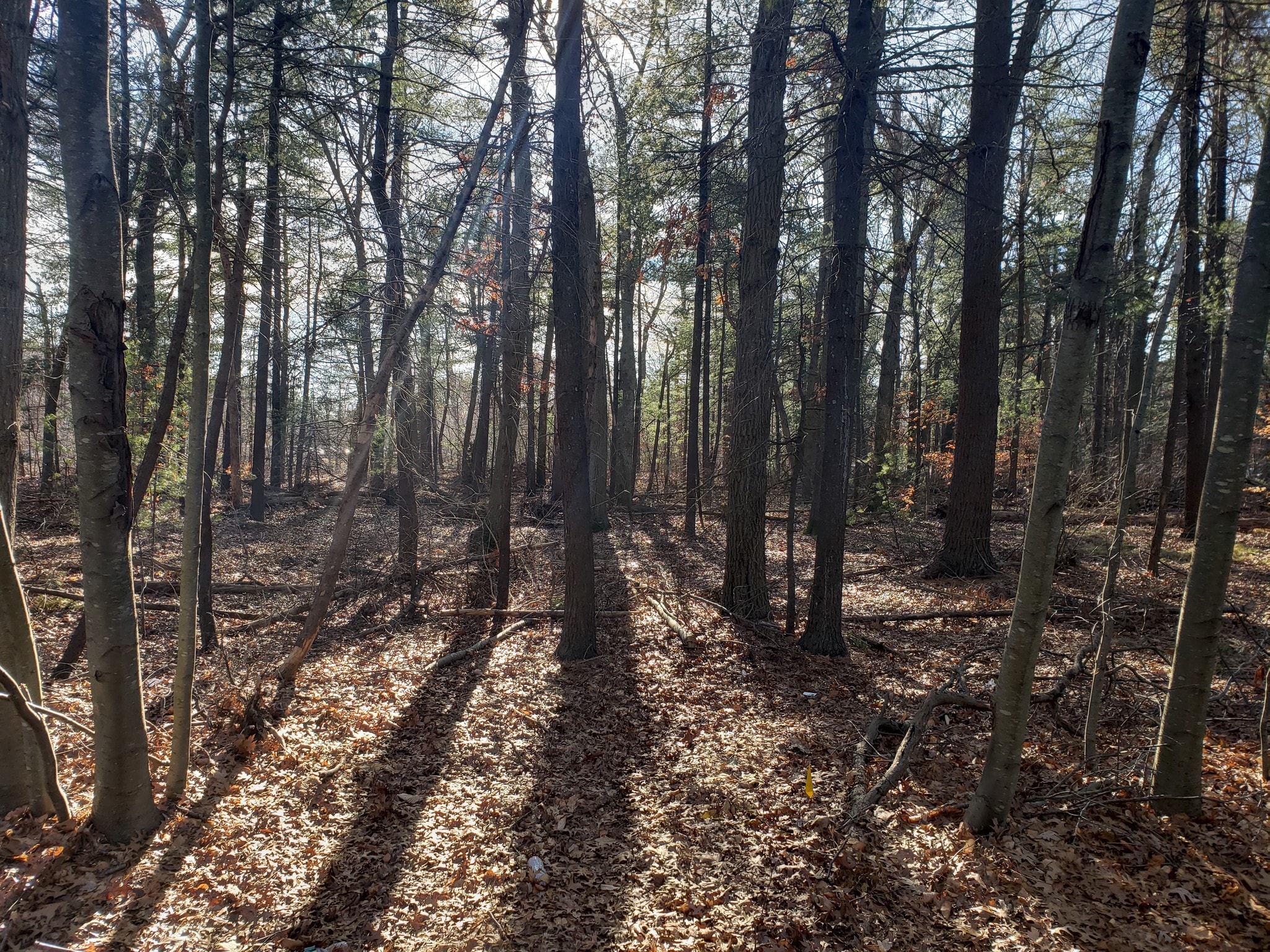 400 Cordwainer Dr, Norwell, MA for Sale