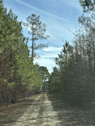 Holly Hill, SC Agricultural - 0 Hwy 15