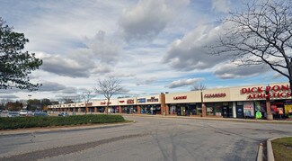 Schaumburg, IL Retail - 851-939 S Roselle Rd
