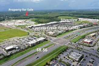 25344 WESLEY CHAPEL BLVD  