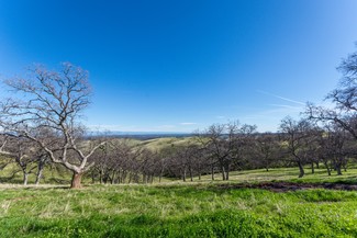 Igo, CA Agricultural - McAuliffe Rd