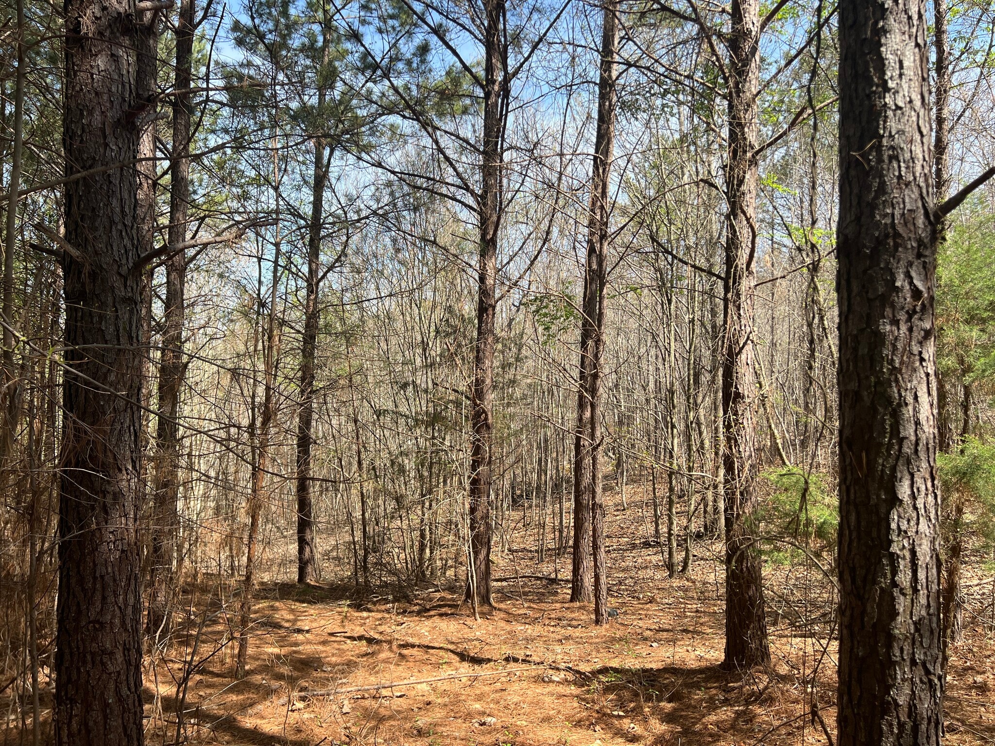 16 Unbridled Rd SE, Rome, GA for Sale