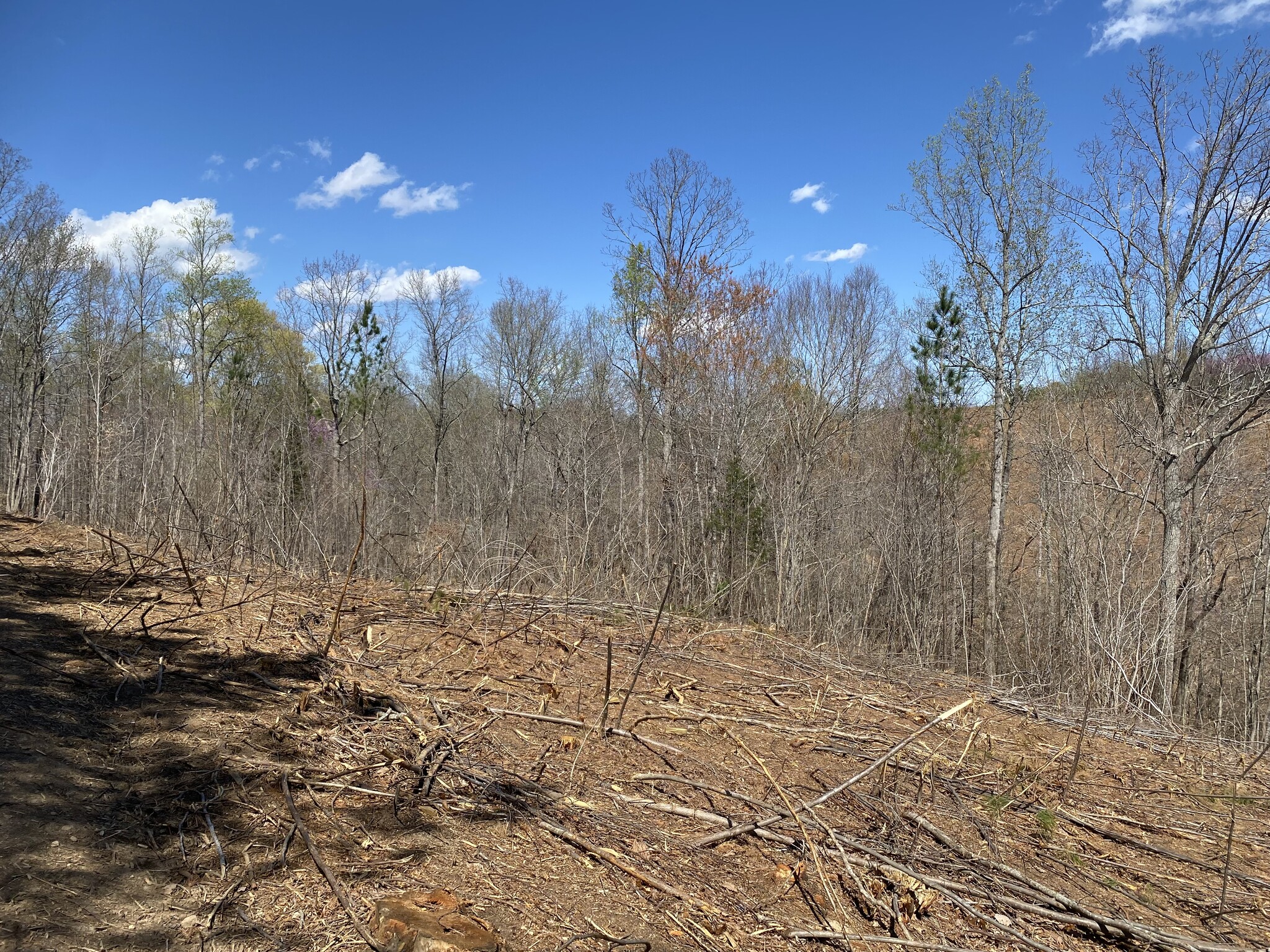 Skeen View Rd, Asheboro, NC for Sale
