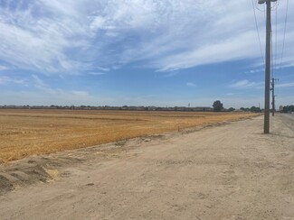 Tulare, CA Agricultural - E. Bardsley Ave.