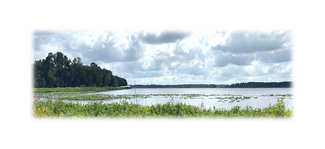 Hawthorne, FL Residential Land - 7707 Holden Park Rd