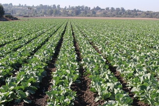 150 W Los Angeles Ave Unit 300