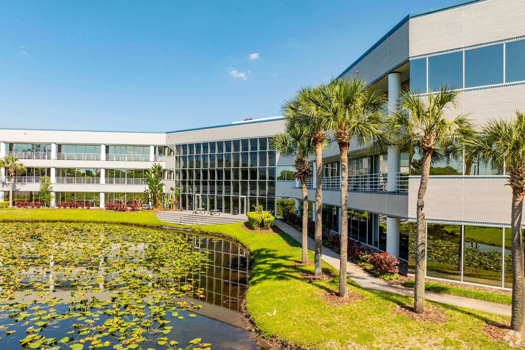 3550 Buschwood Park Dr, Tampa, FL for Rent