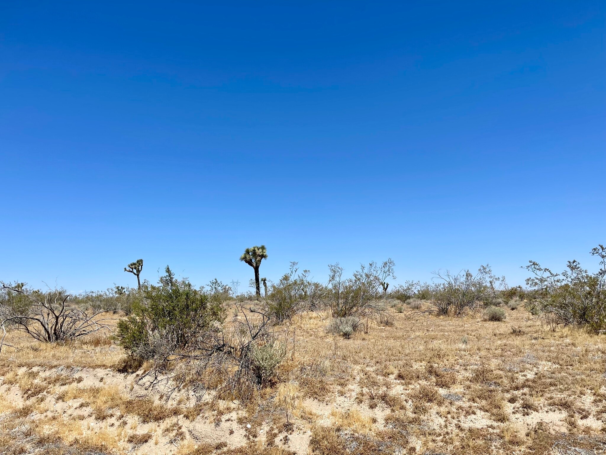 Nevada Rd @ South St., Phelan, CA for Sale