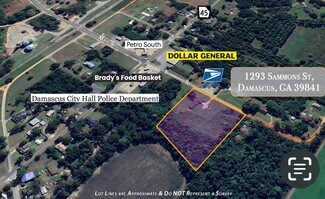 Damascus, GA Residential - 1293 Sammons St