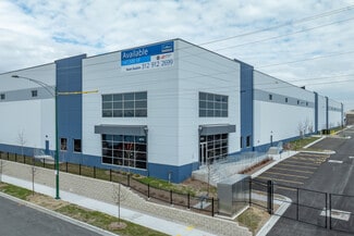 Chicago, IL Industrial - 4510 W Ann Lurie Pl