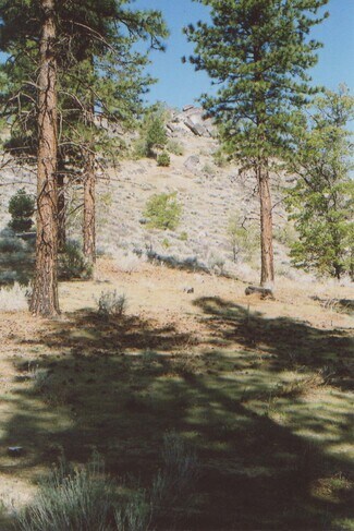 Milford, CA Residential Land - 457-315 Honey View Ln