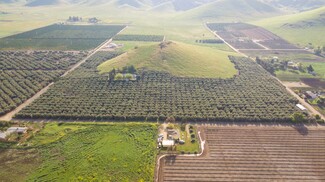 Lindsay, CA Agricultural - 24257 Ave 234
