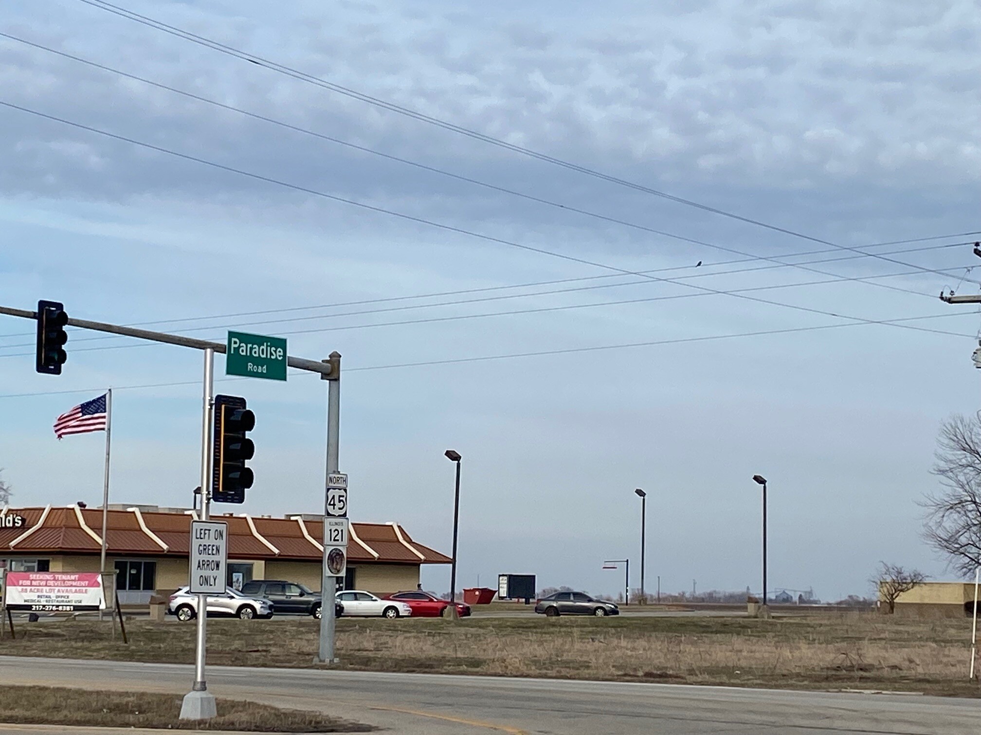 4220 Land Lake Land Blvd Mattoon, IL 61938 Land Property for Sale on