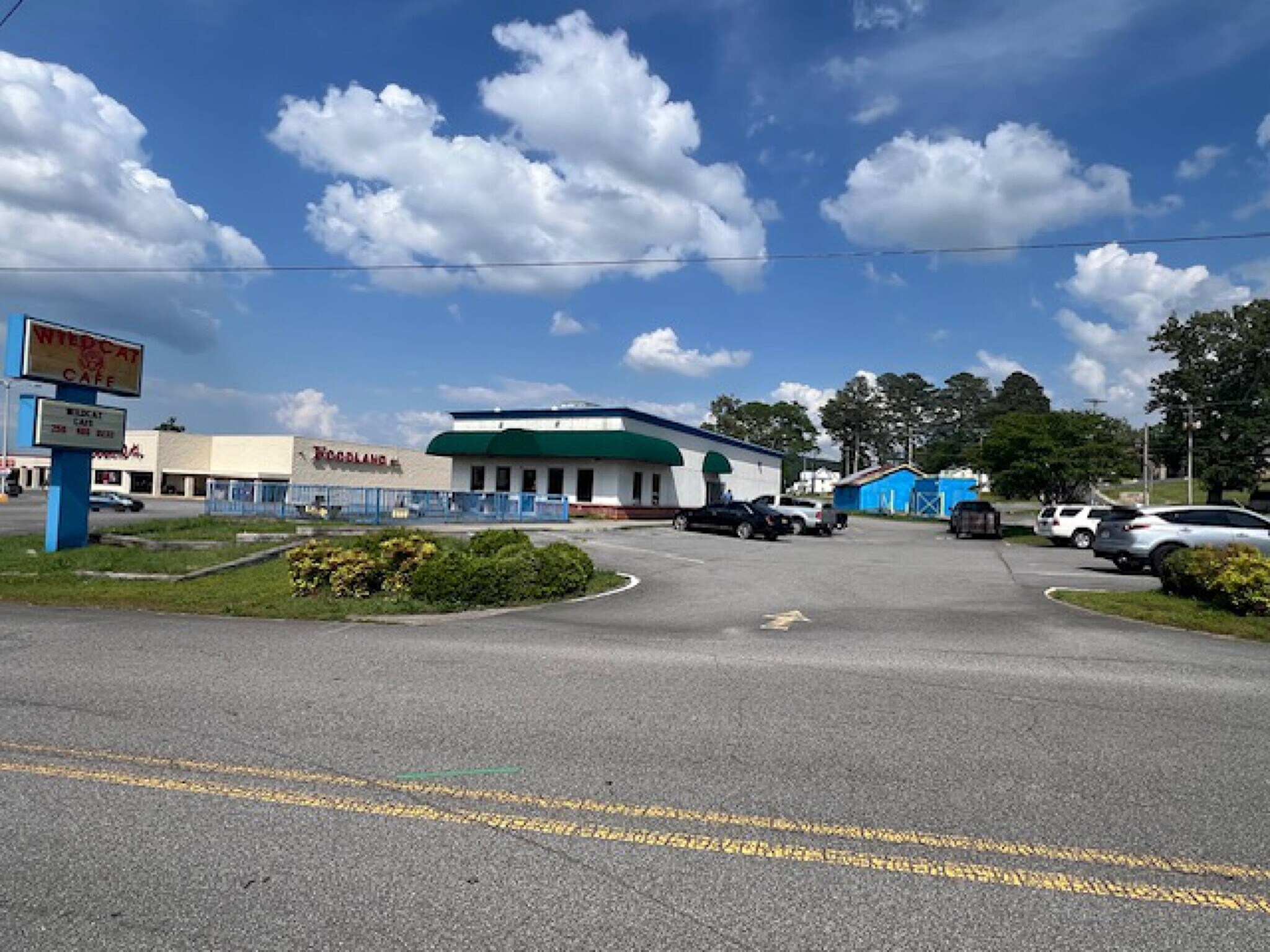 14164 US Highway 431, Guntersville, AL for Sale
