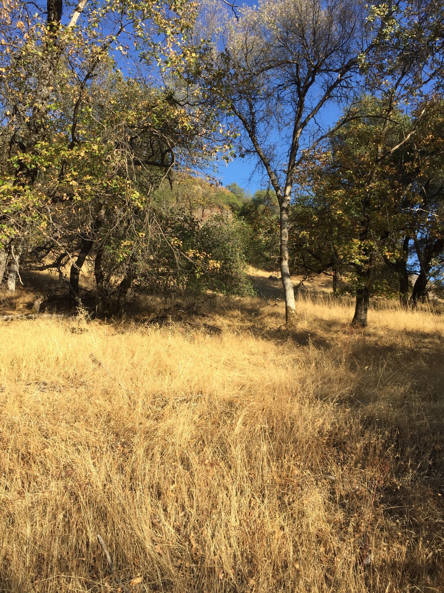 Ranch Camp Road @ Omo Ranch Road, Somerset, CA for Sale
