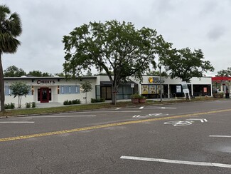 Saint Petersburg, FL Retail - 2817 Central Ave