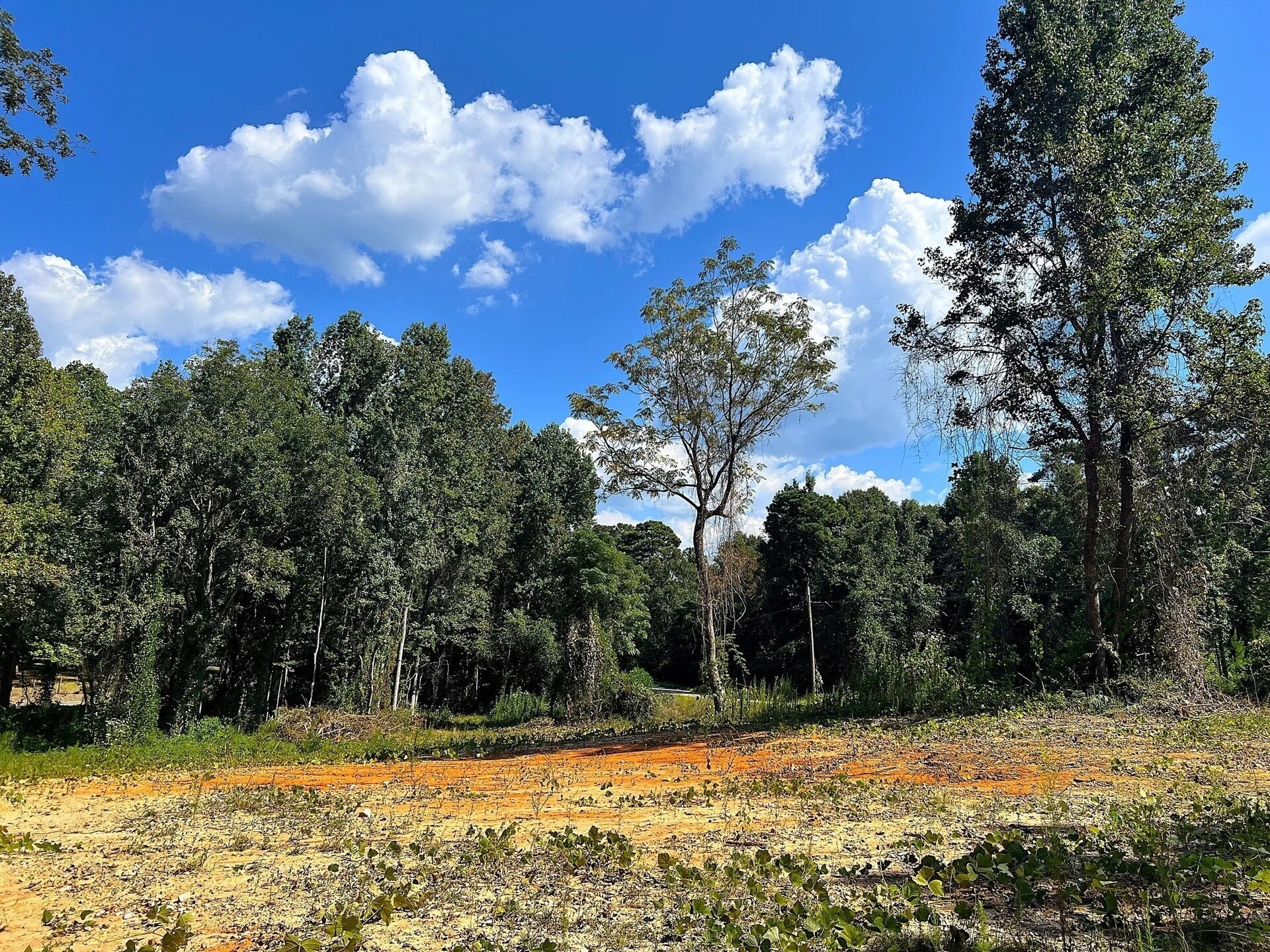 2618 Red Hill Rd, Eclectic, AL for Sale