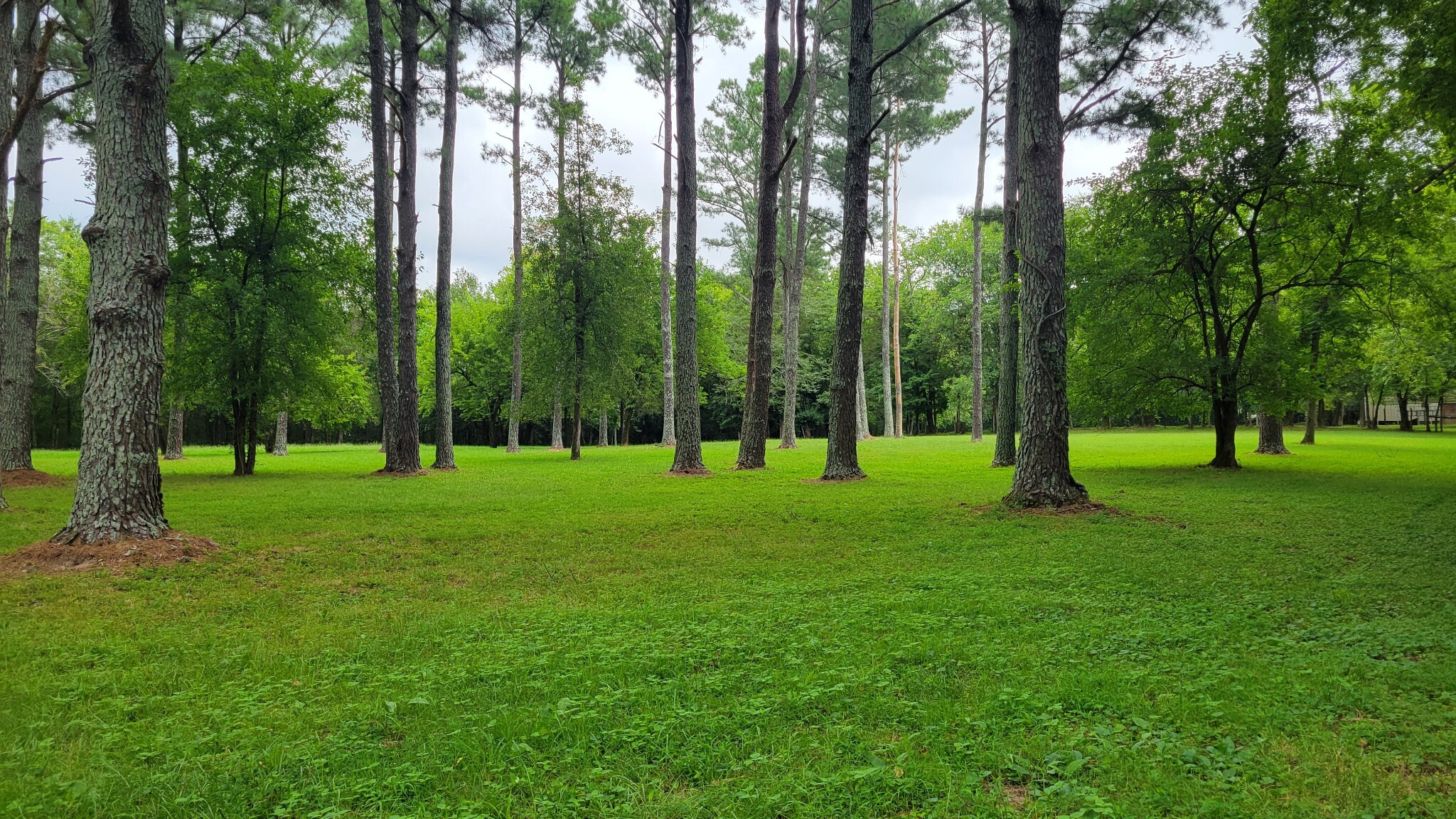 4331 Lebanon Rd, Murfreesboro, TN for Sale
