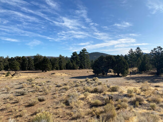 Big Bear City, CA Agricultural - 0 Pine Ln