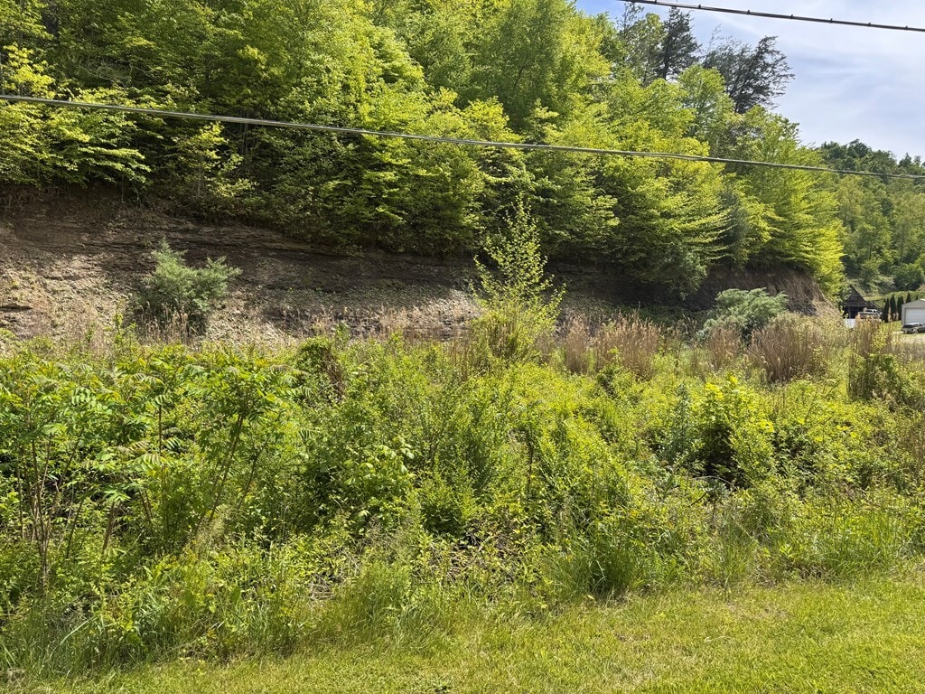 KY Rte 40 and Rte 580 Oil Springs, Oil Springs, KY for Sale