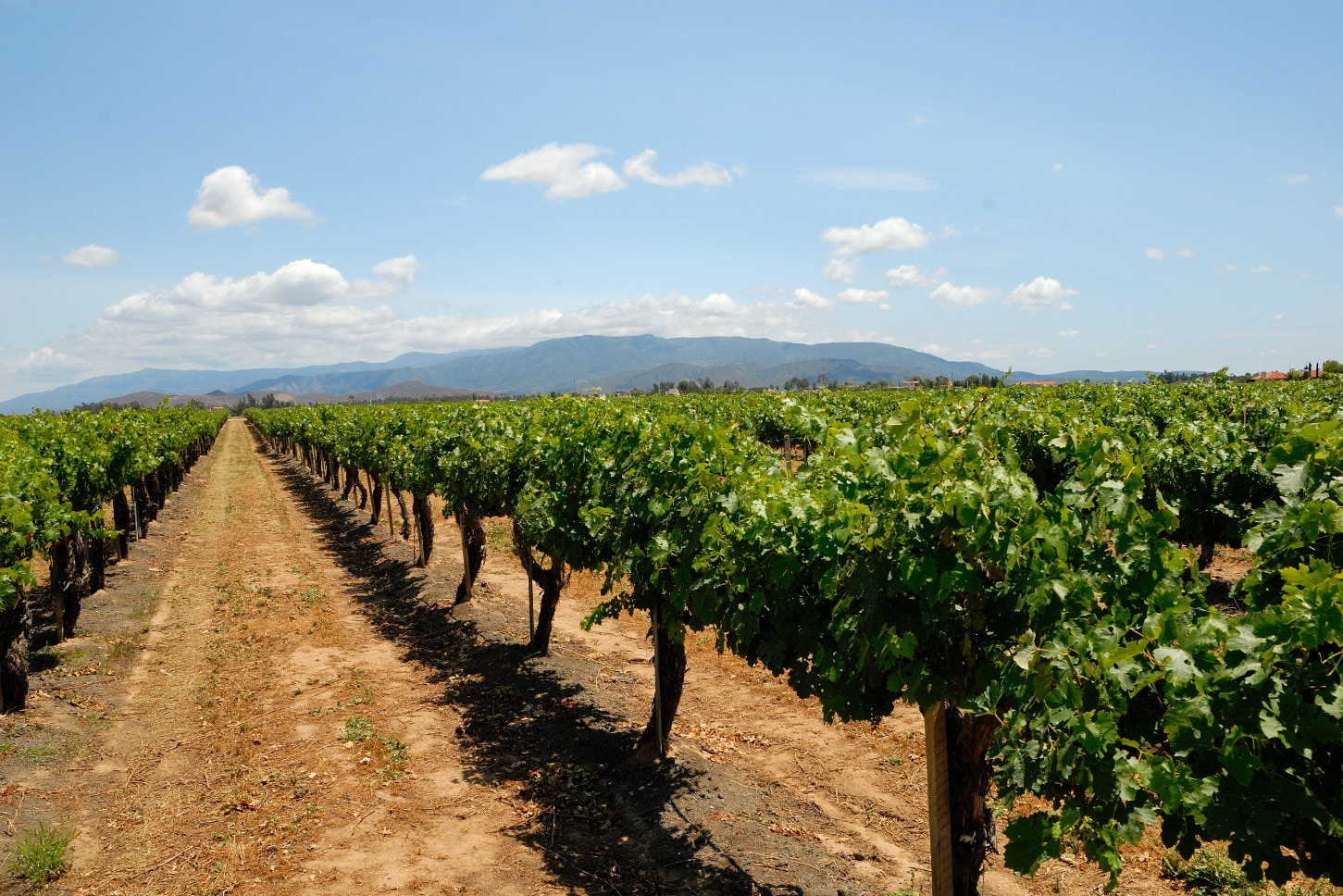 Via De Siena Rancho Ca. Rd. Temecula, CA 92592 Land Property for