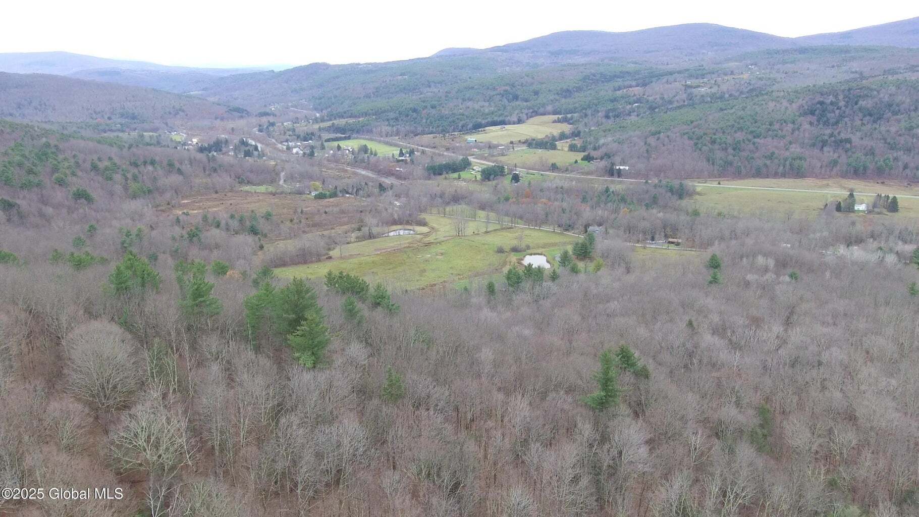 Mt Eden Estates Rd, Lexington, NY for Sale