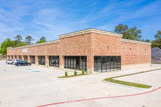 Tomball, TX undefined - 11730 Spring Cypress Rd