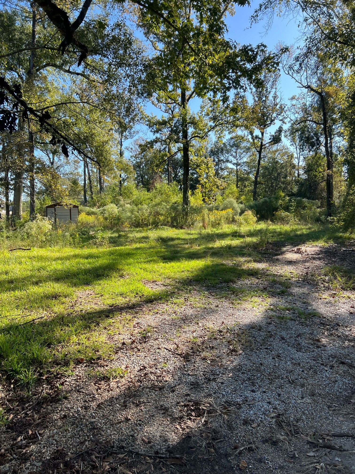 29960 Henderson Ln, Walker, LA for Sale