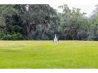 Tallahassee, FL Commercial Land - 2984 Water OakPlantation Rd Tallahassee, FL Commercial Land - 2984 Water OakPlantation Rd