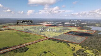 Plant City, FL Agricultural Land - 7301 S County Road 39