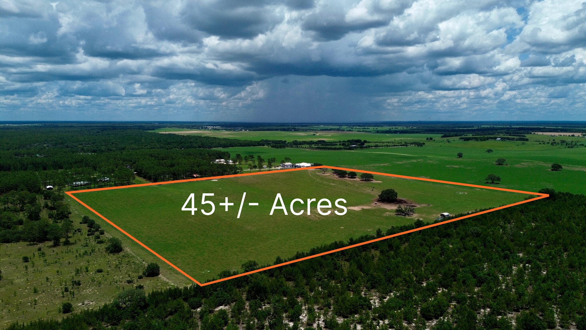 54th St, Morriston, FL for Sale