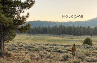 Fawnskin, CA Residential Land - 34300 Holcomb Valley Rd