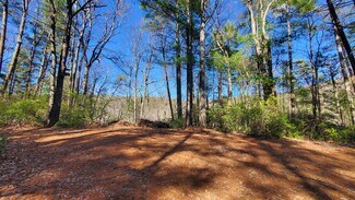 Cherry Log, GA Residential Land - Mountain Cove Estates Rd Cherry Log, GA Residential Land - Mountain Cove Estates Rd