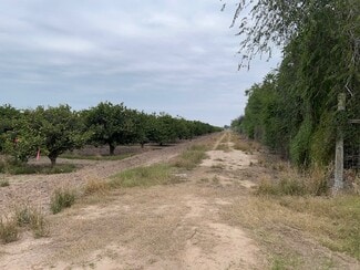 San Juan, TX Commercial - 42.90 Acs at NE Corner of S. Stewart & Hall Acres