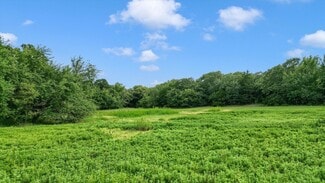 Collinsville, TX Agricultural - TBD County Road 265