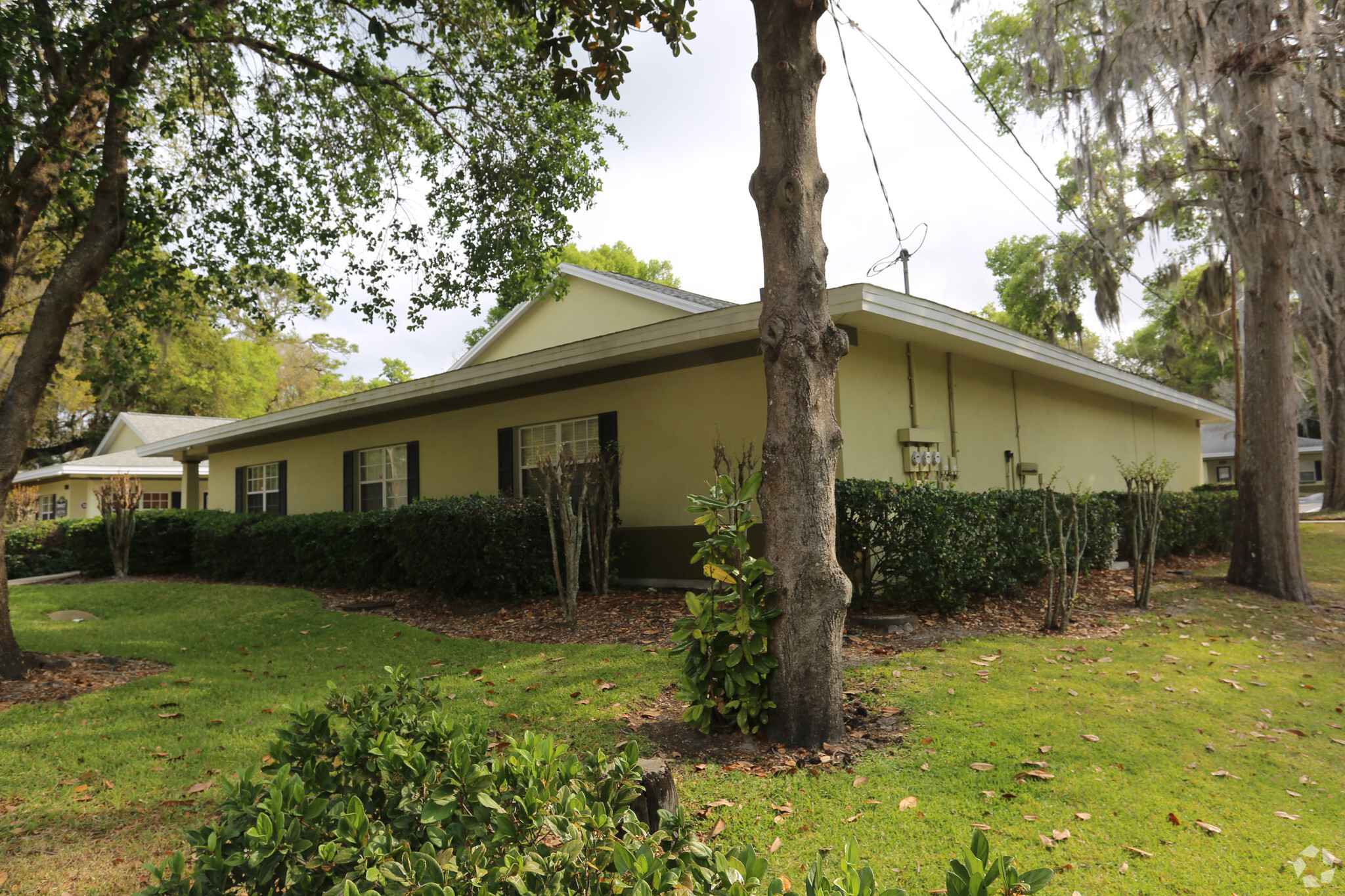 1502 N Donnelly St, Mount Dora, FL for Rent