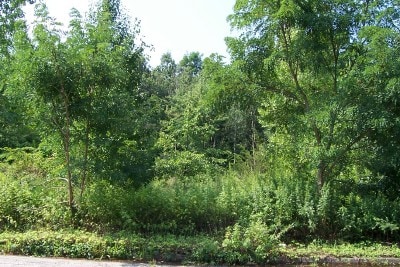 1 Barnet Rd, Montville Township, NJ for Sale