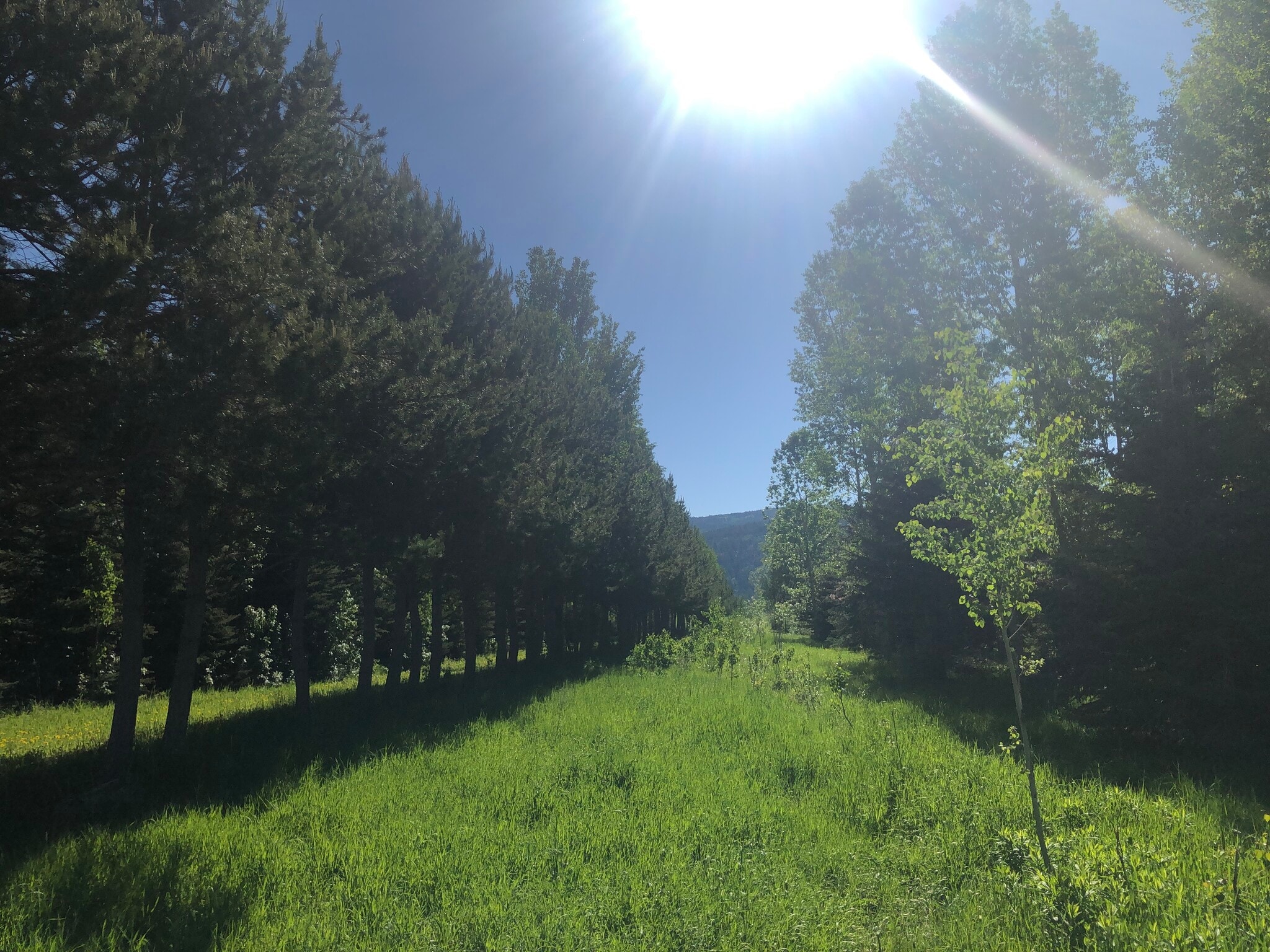 120 E 7000 S Victor, ID 83455 Land Property for Sale on