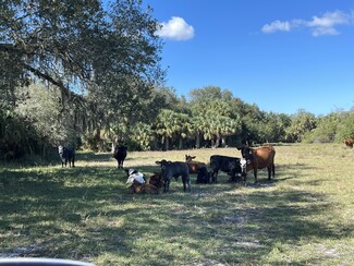 Clewiston, FL Agricultural - Roberts Ranch Road