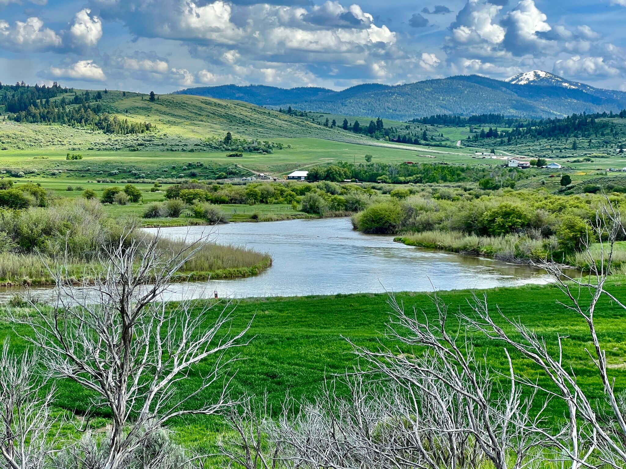 TBD S. Bailey Creek, Soda Springs, ID for Sale