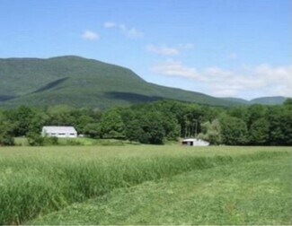 Catskill, NY Residential Land - 4986 Route 32